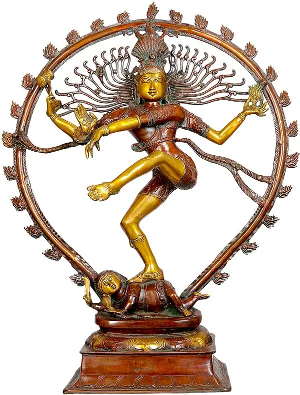 35" Large Size Nataraja in Brown and Golden Hues In Brass | Handmade | Made In India