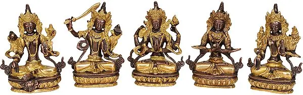5" Tibetan Buddhist Deities-Green Tara, Manjushri, Chenrezig, Vajradhara and White Tara (Set of 5 Sculptures) In Brass | Handmade | Made In India