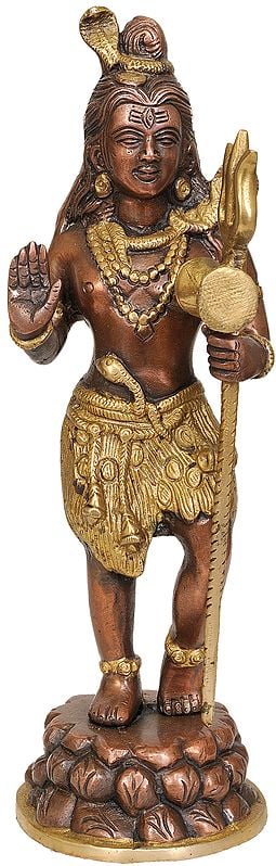 12" Standing Shiva In Brass | Handmade | Made In India