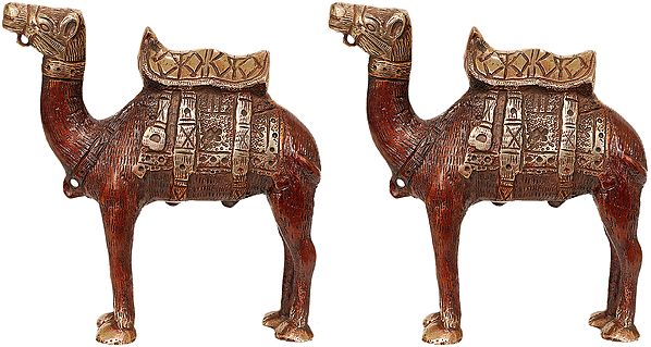 Camel Figurines - The Ship of Desert
