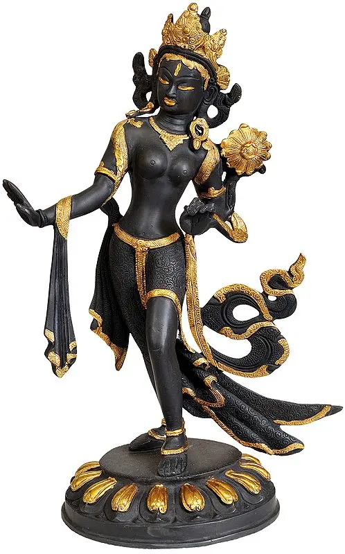 Standing Tara (Tibetan Buddhist Deity)