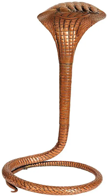 Copper Serpent