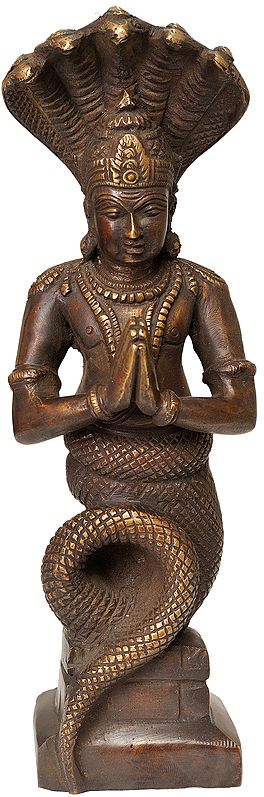 10" Patanjali Brass Sculpture | Handmade
