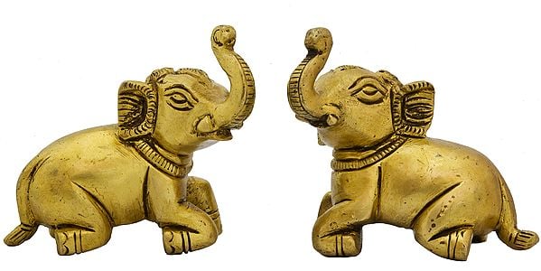 Pair of Elephants