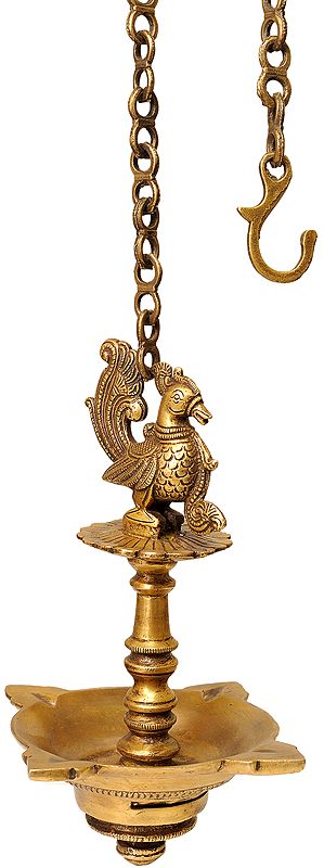 9" Peacock Ceiling Puja Lamp in Brass | Handmade | Made in India