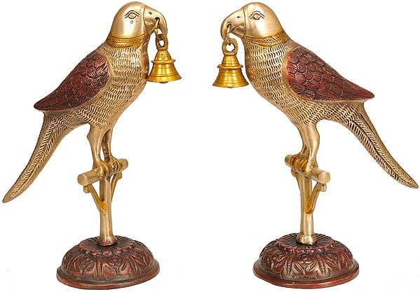 9" Pair of Parrots with Bell in Brass | Handmade | Made in India