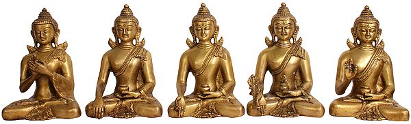 6" Set of Five Cosmic Buddhas (Tibetan Buddhist Deities) In Brass | Handmade | Made In India