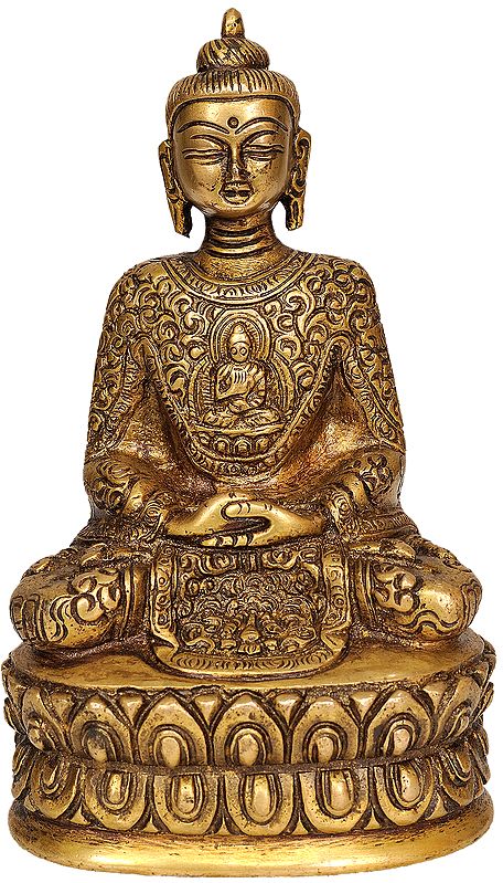 Dhyani Buddha with Beautiful Decorated Robe