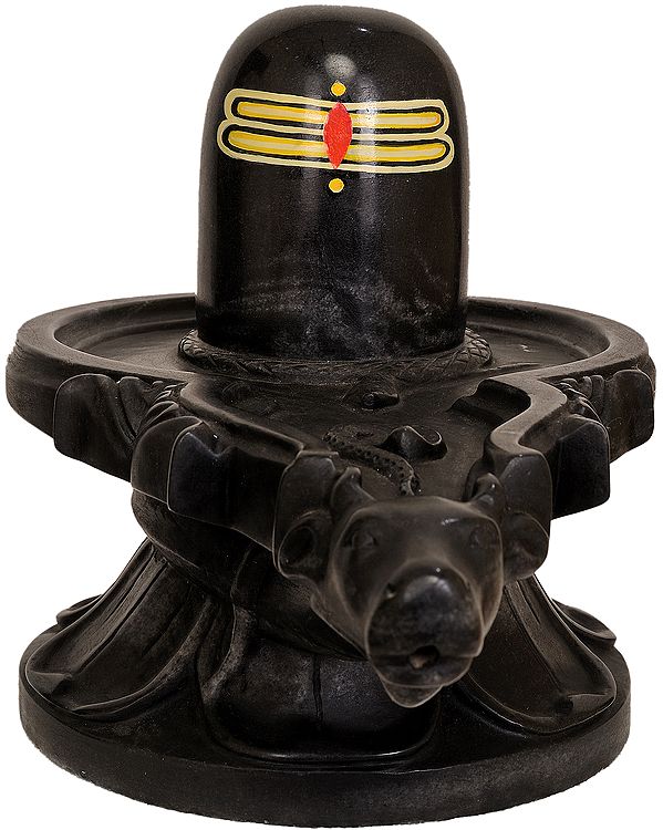 Black Stone Shiva Linga with Nandimukha for Retrieving Abhisheka Material