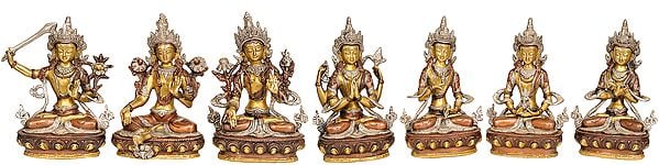 (Tibetan Buddhist Deities) Manjushri, Green Tara, White Tara, Chenrezig, Vajrasattva, Amitabha and Vajradhara  (Set of 7 Statues)
