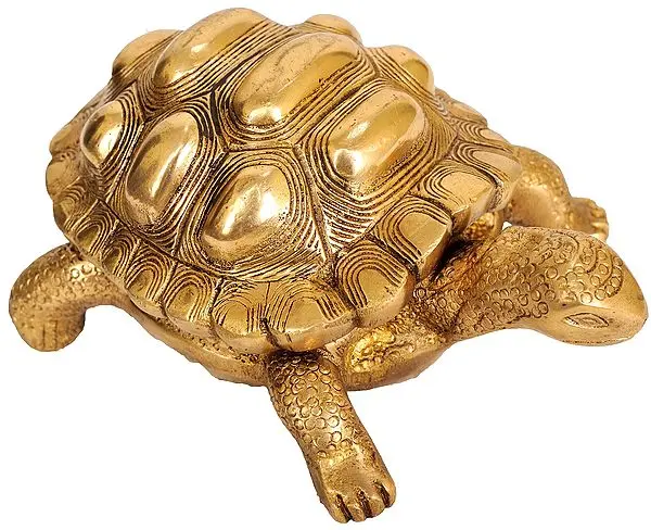 Vastu Tortoise Box