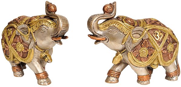 Pair of Elephants with OM