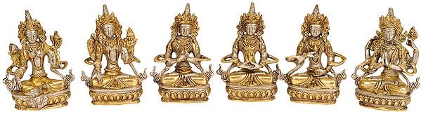 5" Tibetan Buddhist Deities: Green Tara, White Tara, Vajradhara,  Amitabha, Vajrasattva and Chenrezig (Set of 6 Sculptures) In Brass | Handmade | Made In India