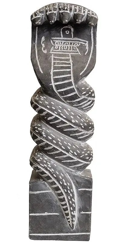Kundalini with Shiva Linga