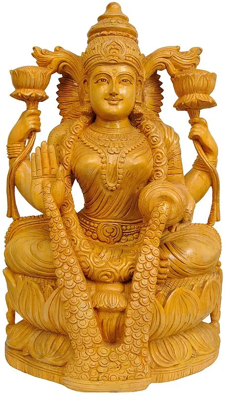 Goddess Lakshmi Raining Prosperity