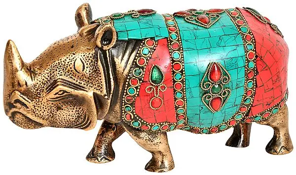 Rhinoceros