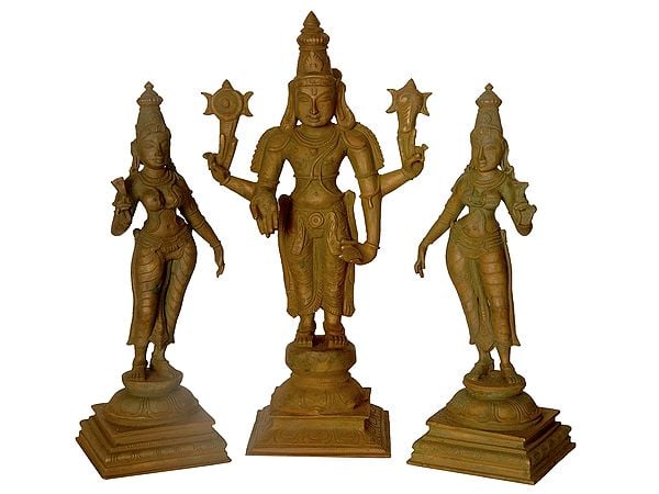 12" Lord Vishnu with Shridevi and Bhudevi Panchaloha Bronze Statue