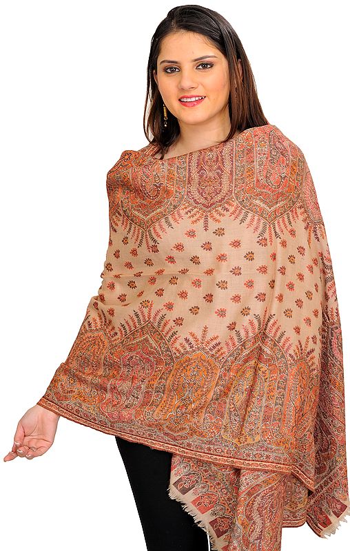 Shifting-Sand Jamawar Stole from Amritsar with Woven Bootis