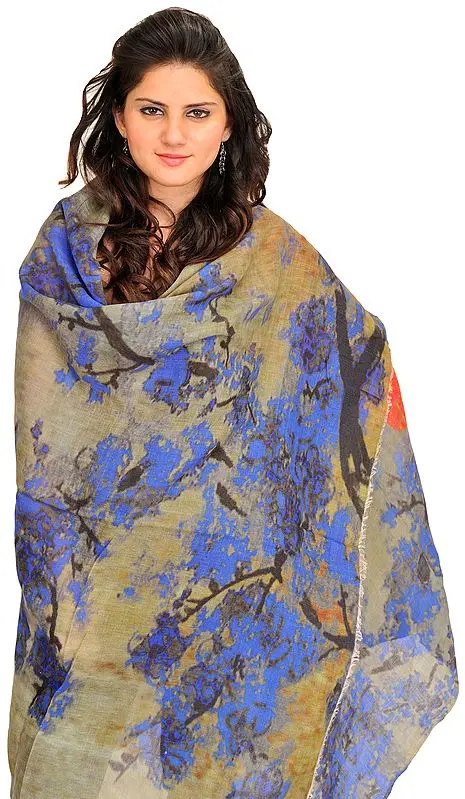 Multicolor Digital-Printed Shawl from Amritsar