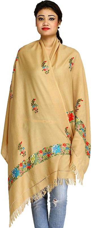 Ari Kashmiri Chakra Stole with Floral Hand-Embroidery and Butterflies