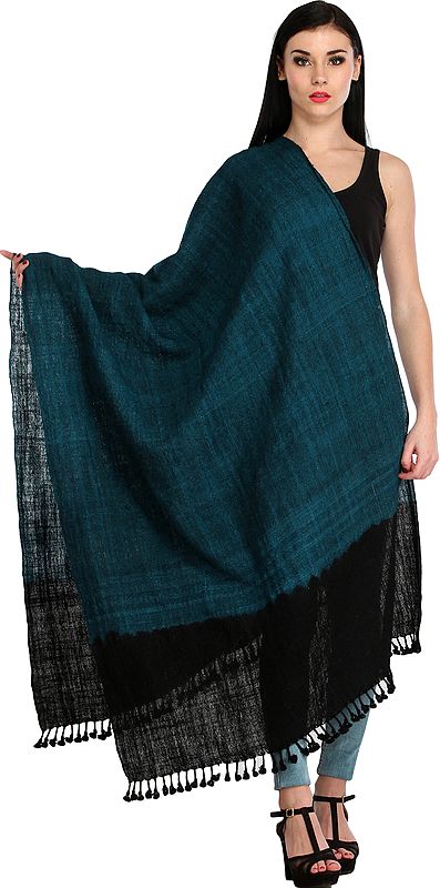 Double-Shaded Tie-Dye Shawl from Kutch