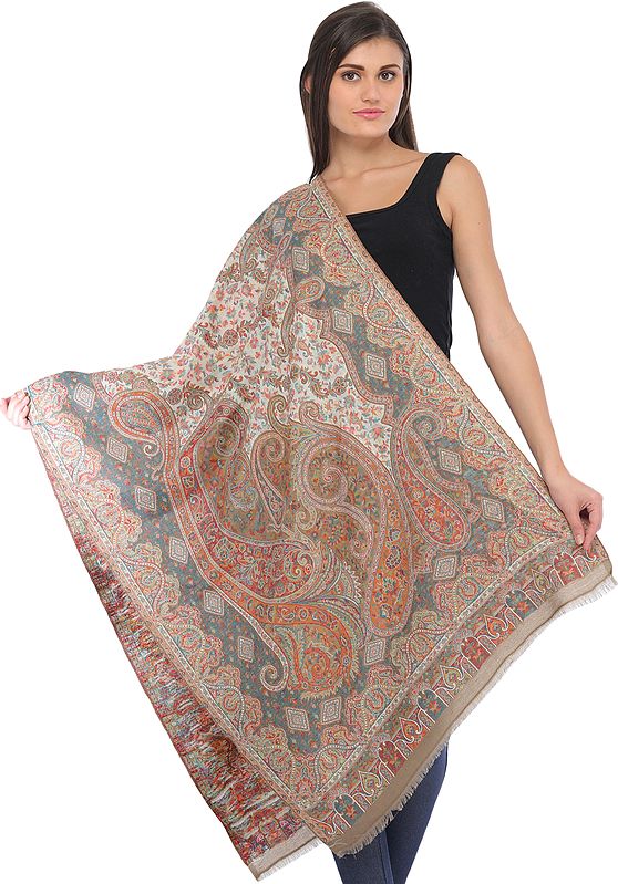 Multicolor Kani Jamawar Stole from Amritsar with Woven Paisleys