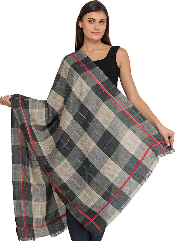 Gray and Moonlight Plaid Stole