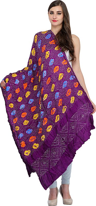 Pansy-Purple Bandhani Tie-Dye Shawl from Gujarat with Large Bootis