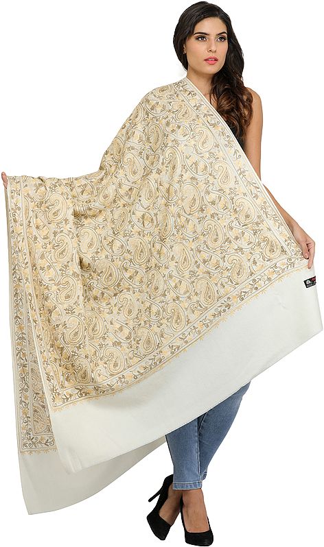 Off-White Aari Embroidered Paisleys Shawl from Amritsar