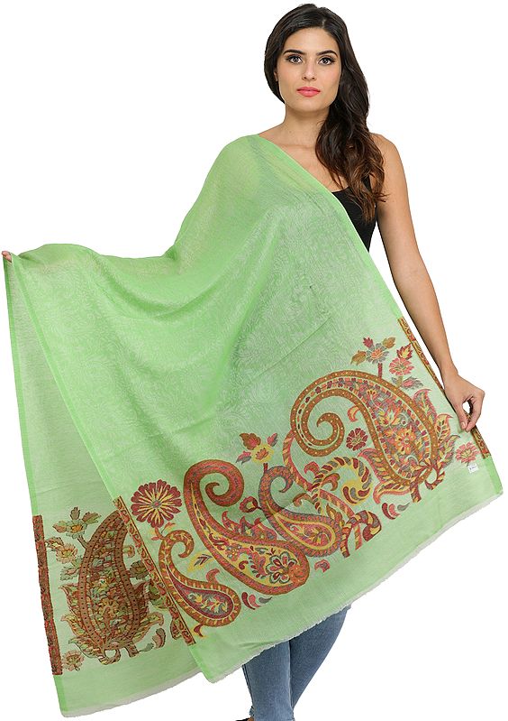 Areadian-Green Wool Shawl from Amritsar with Woven Paiselys in Self