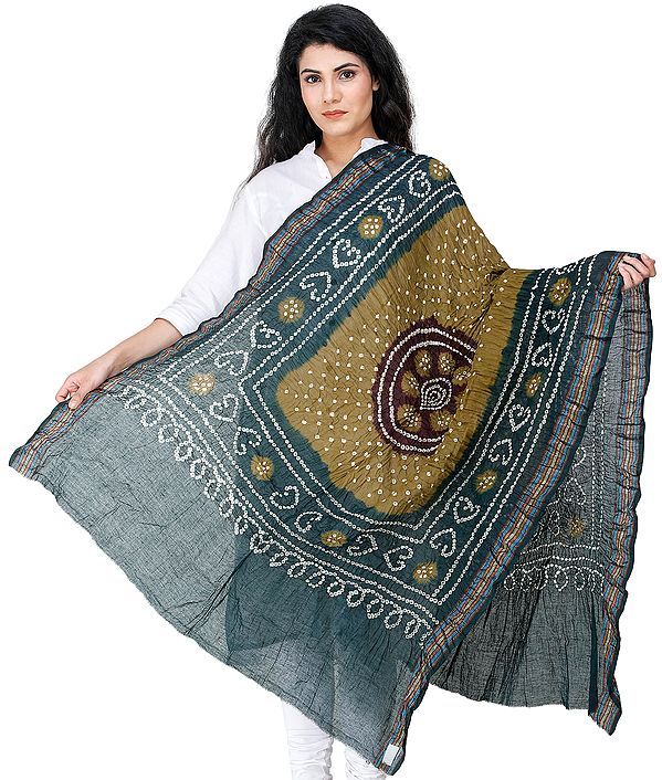 Tie-Dye Bandhani Dupatta From Gujarat with Woven Border and Chakra
