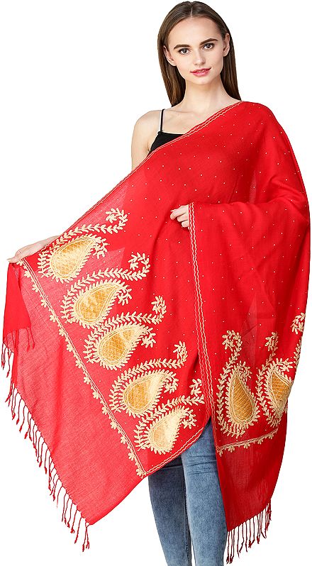 Stole from Amritsar with Aari-Embroidered Paisleys on Border and Crystals