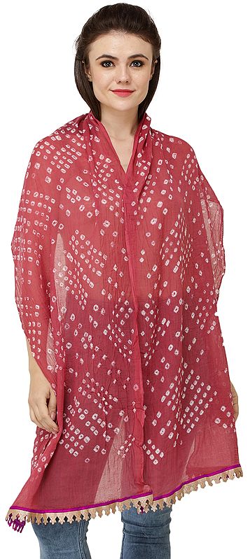 Tie-Dye Bandhani Scarf from Gujarat with Golden Patch Border