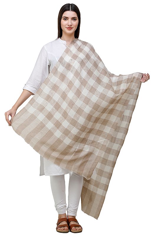 Beige Pashmina Stole from Amritsar with Woven Checks