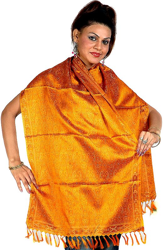 Amber Tehra Banarasi Stole Hand-Woven with All-Over Paisleys