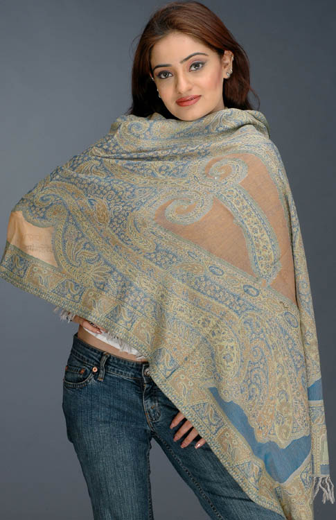 Beige and Blue Jamawar Stole with Crystals