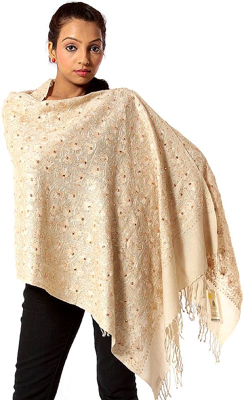 Beige Aari Embroidered Stole with Sequins and Beads