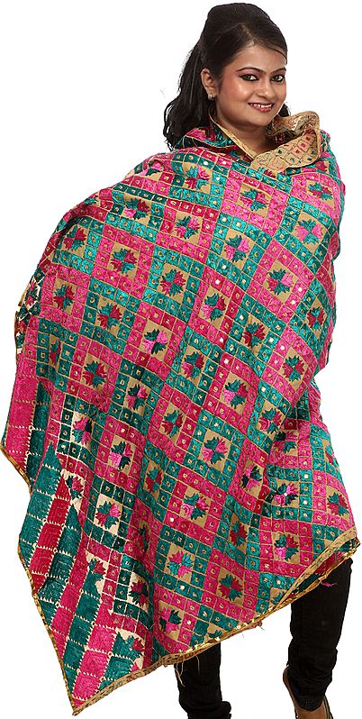 Beige Phulkari Dupatta from Punjab with All-Over Embroidery and Sequins