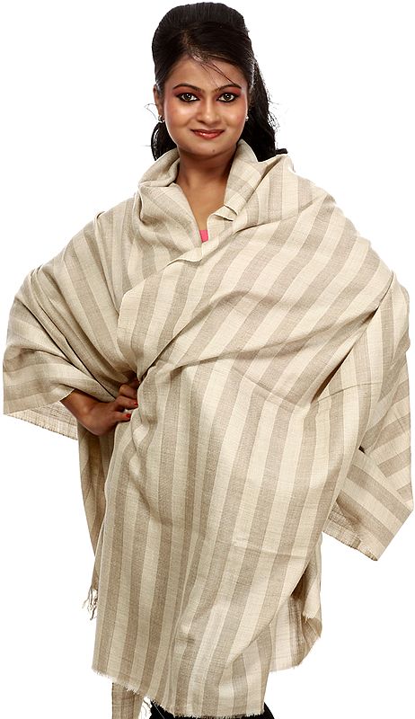 Beige Pure Pashmina Shawl with Wide Woven Stripes