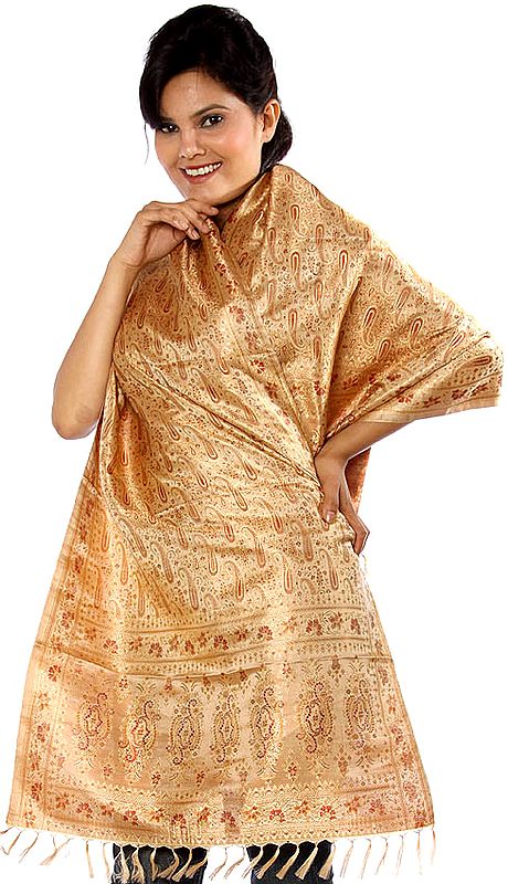 Beige Resham Tehra Stole with Paisleys Woven All-Over