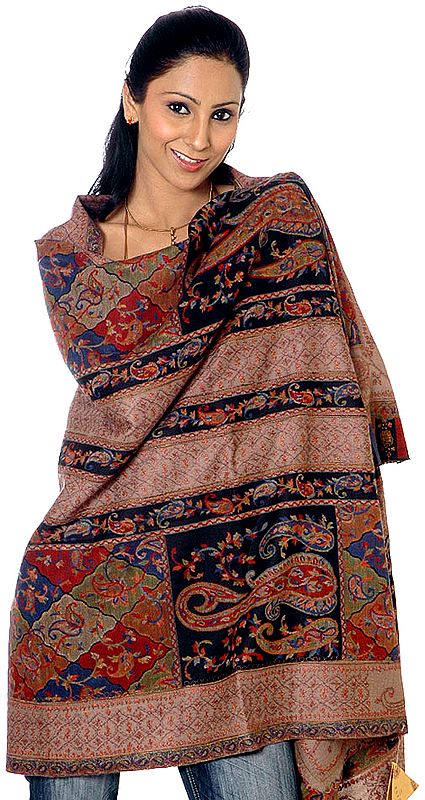 Black and Khaki Kani Shawl with Needle Embroidery and Multi-Color Weave