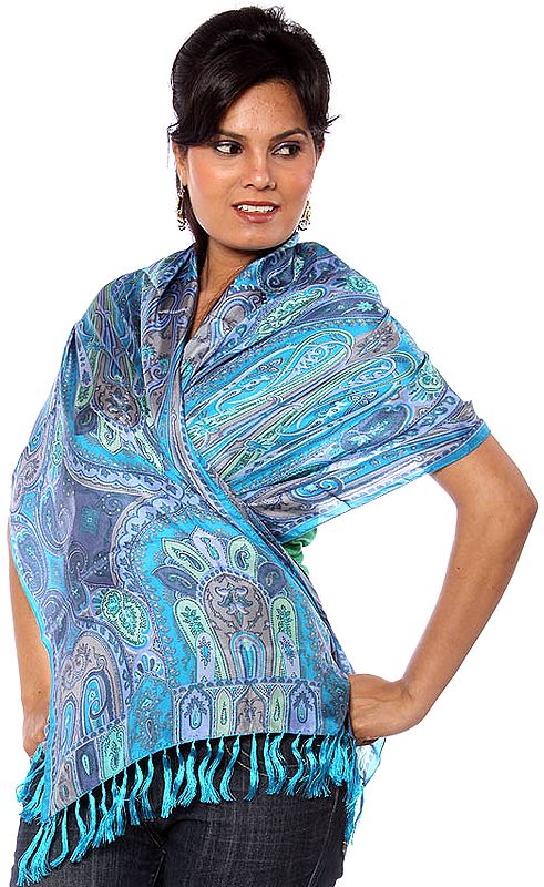 Blue Printed Scarf with Stylized Paisleys
