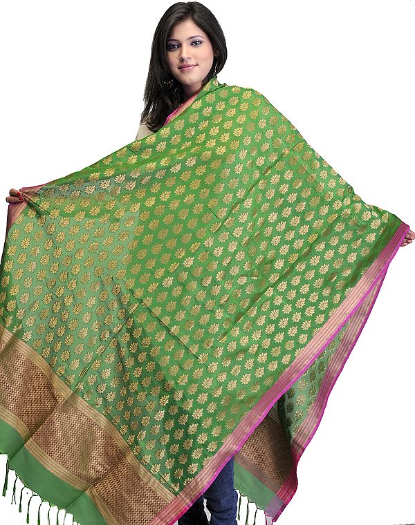 Bright-Green Summer-Silk Dupatta from Banaras with All-Over Woven Bootis in Golden Thread