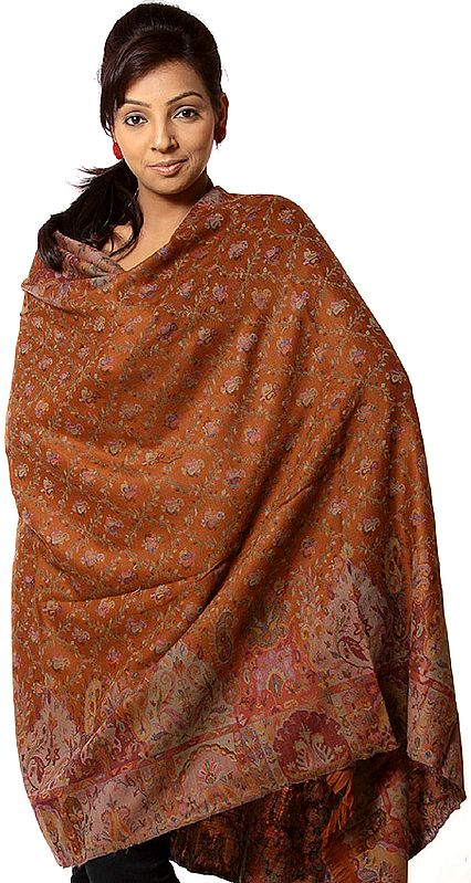 Brown Kani Shawl with Multi-Color Woven Jaal
