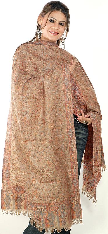 Brown Kani Stole with All-Over Woven Paisleys