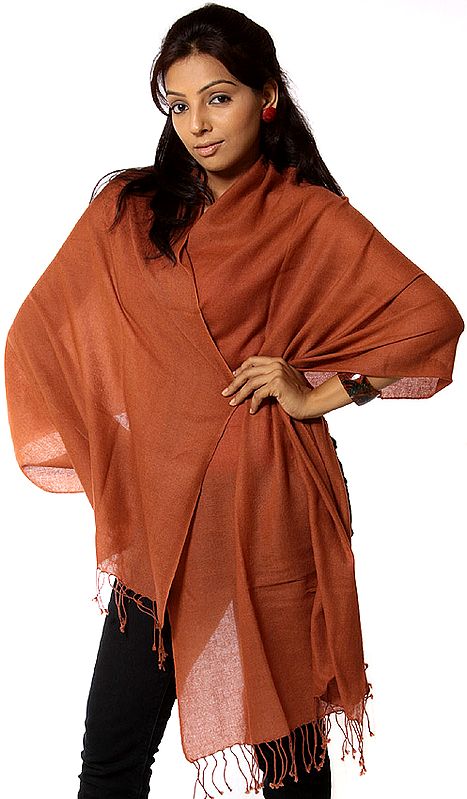 Brown Pure Pashmina Stole from Nepal