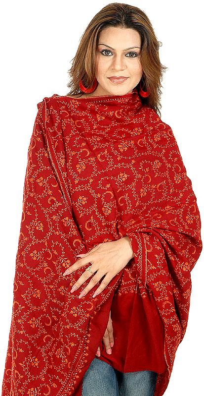 Brown Tusha Shawl with All-Over Sozni Embroidery