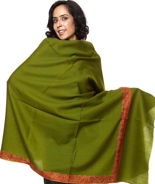 Cactus-Green Tusha Shawl with Densely Hand-Embroidered Border