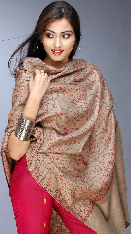 Camel Colored Jafreen Jaal Shawl from Kashmir