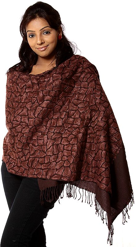 Chocolate-Brown Aari Stole with Embroidery in Self Color